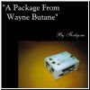 A Package From Wayne Butane (FLUV016)